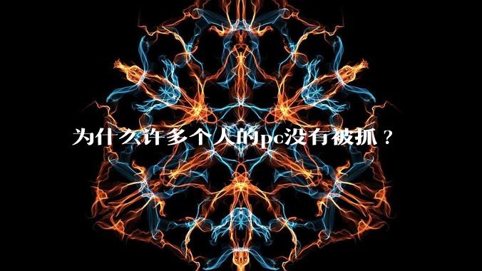 为什么许多个人的pc没有被抓?