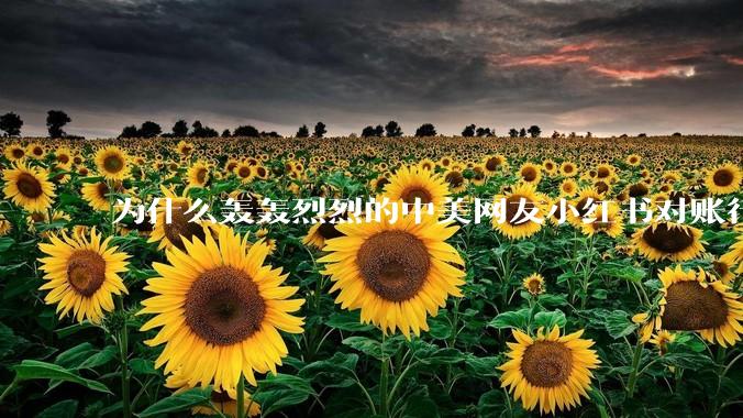 为什么轰轰烈烈的中美网友小红书对账行动戛然而止了？